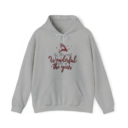 Most Wonderful Time of Year Hooded Sweatshirt