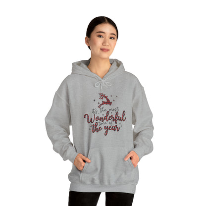 Most Wonderful Time of Year Hooded Sweatshirt