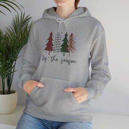 Tis The Season Hooded Sweatshirt